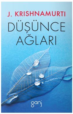 Düşünce Ağları