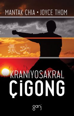 Kraniyosakral Çigong