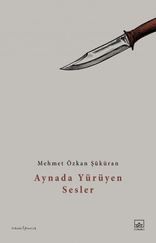 Aynada Yürüyen Sesler