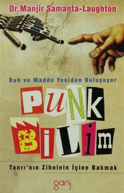 Punk Bilim