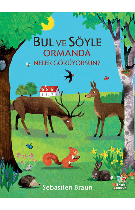 Bul ve Söyle – Ormanda Neler Görüyorsun?