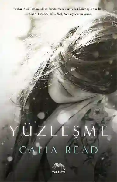 Resim YÜZLEŞME