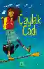 Resim ÇAYLAK CADI