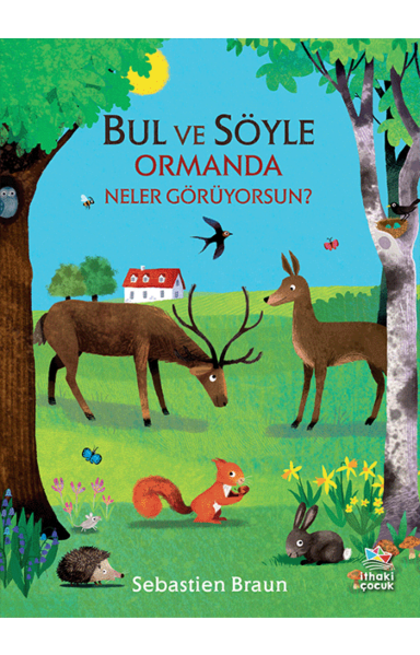 Resim BUL VE SÖYLE / ORMANDA NELER GÖRÜYORUSUN?