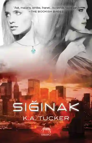 Resim SIĞINAK