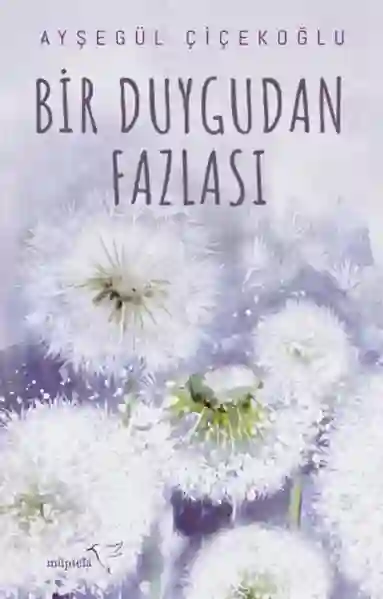 Resim BİR DUYGUDAN FAZLASI