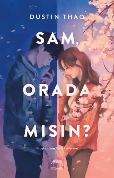 Resim SAM, ORADA MISIN?