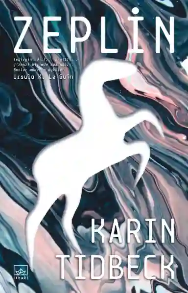 Resim ZEPLİN