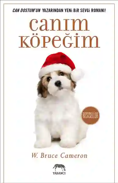 Resim CANIM KÖPEĞİM