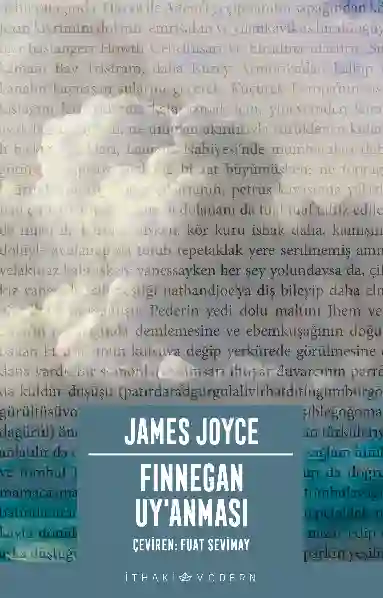 Resim FİNNEGAN UY'ANMASI