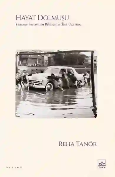 Resim HAYAT DOLMUŞU - YAŞAMA SANATININ BİLİNEN SIRLARI ÜZERİNE
