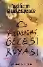 Resim YAZDÖNÜMÜ GECESİ RÜYASI