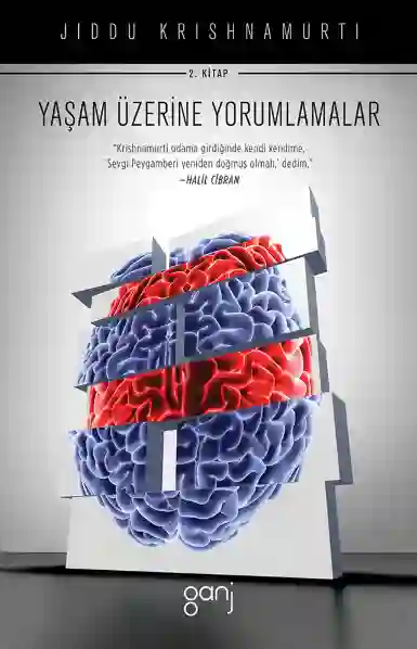 Resim YAŞAM ÜZERİNE YORUMLAMALAR / CİLT2