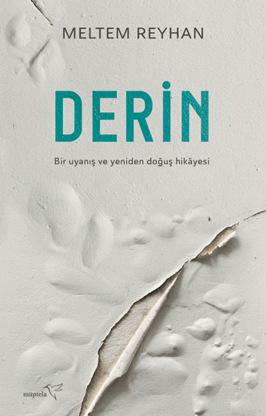 Resim DERİN