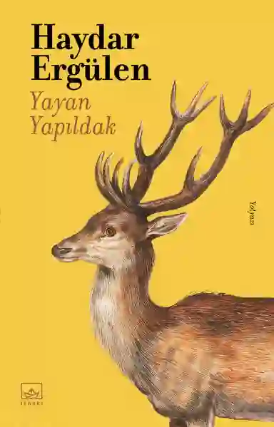 Resim YAYAN YAPILDAK