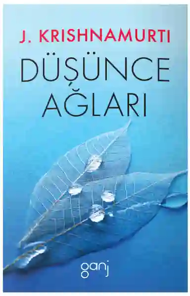 Resim DÜŞÜNCE AĞLARI