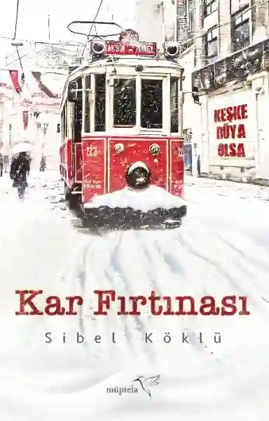 Resim KAR FIRTINASI