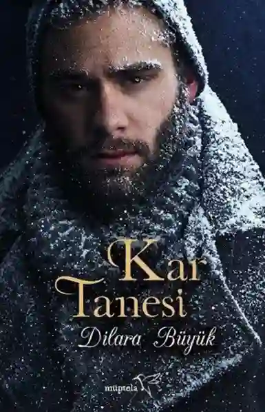 Resim KAR TANESİ