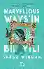 Resim MARVELLOUS WAYS'İN BİR YILI