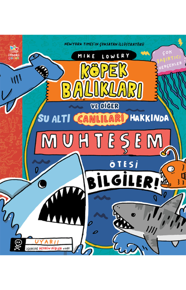 Resim KÖPEK BALIKLARI VE DİĞER SU ALTI CANLILARI HAKKINDA MUHTEŞEM ÖTESİ BİLGİLER!