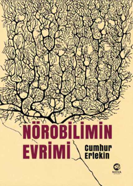 Resim NÖROBİLİMİN EVRİMİ
