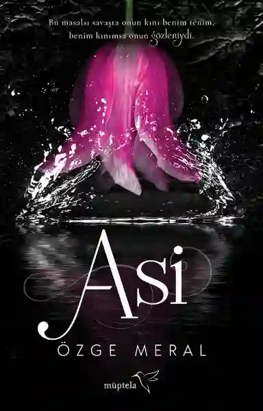 Resim ASİ