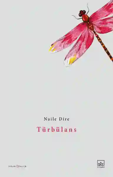 Resim TÜRBÜLANS