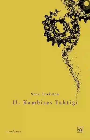 Resim II. KAMBISES TAKTİĞİ