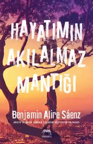 Resim HAYATIMIN AKILALMAZ MANTIĞI