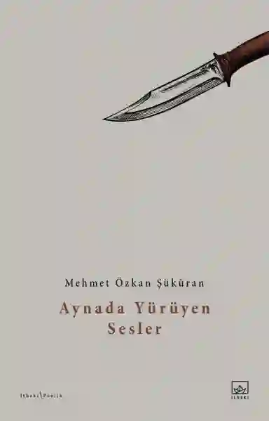 Resim AYNADA YÜRÜYEN SESLER