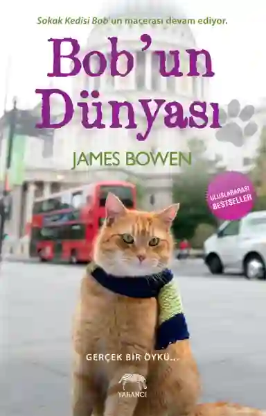 Resim BOB'UN DÜNYASI