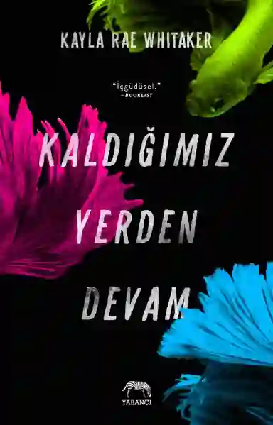 Resim KALDIĞIMIZ YERDEN DEVAM