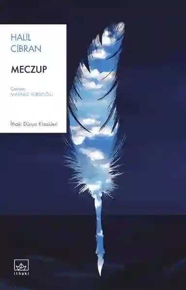 Resim MEZCUP