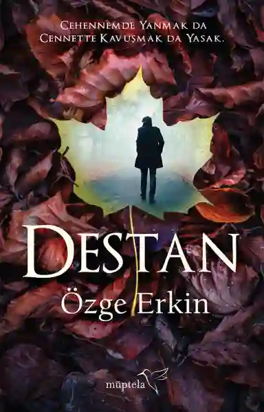 Resim DESTAN