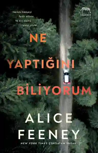 Resim NE YAPTIĞINI BİLİYORUM