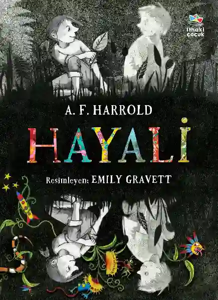 Resim HAYALİ