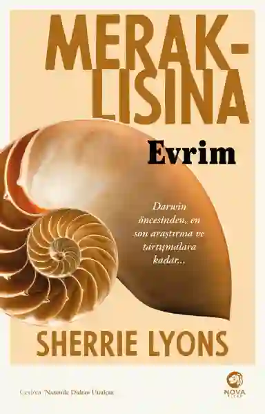 Resim MERAKLISINA EVRİM
