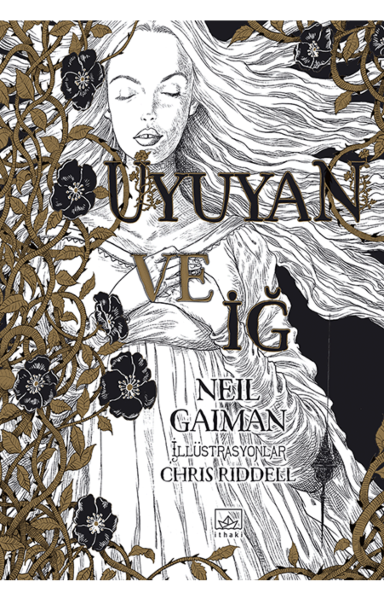 Resim UYUYAN VE İĞ