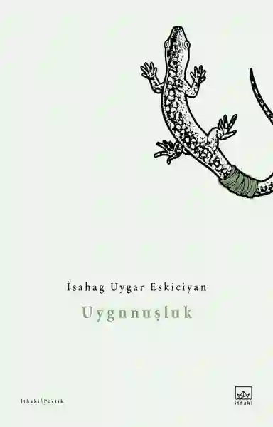 Resim UYGUNUŞLUK