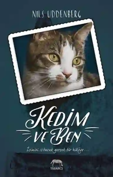 Resim KEDİM VE BEN